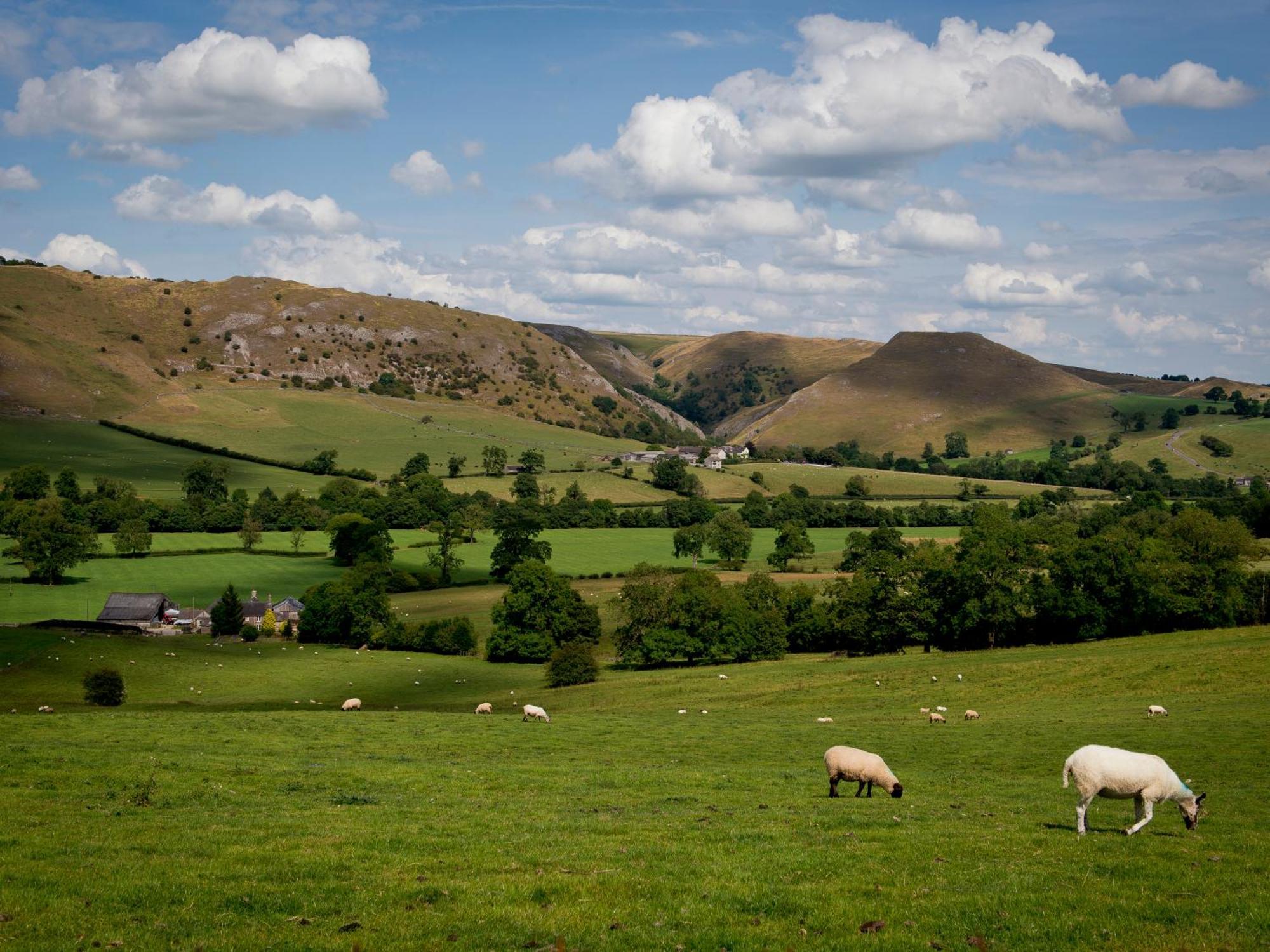 Yha Ilam Hall Ашборн Экстерьер фото